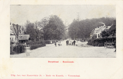 14006 Gezicht in de Dorpsstraat met bebouwing te Renswoude uit het westen.